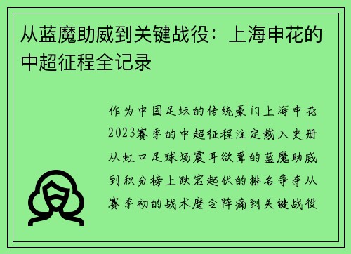 从蓝魔助威到关键战役：上海申花的中超征程全记录