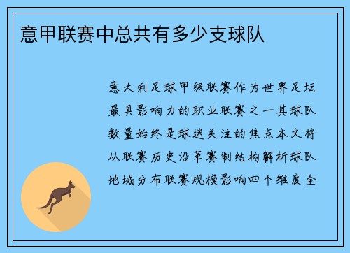 意甲联赛中总共有多少支球队